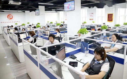 區政務服務管理局與醫保局聯動推進“未訴先辦” 信息咨詢服務提升群眾滿意度